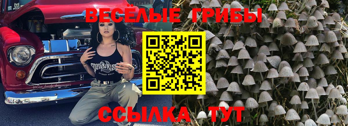 Псилоцибиновые грибы мицелий  Псилоцибиновые грибы Psilocybine cubensis  Вход с VPN  Мурино 