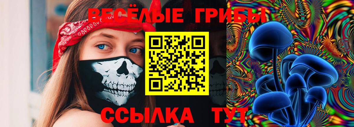 Галлюциногенные грибы мицелий Мурино